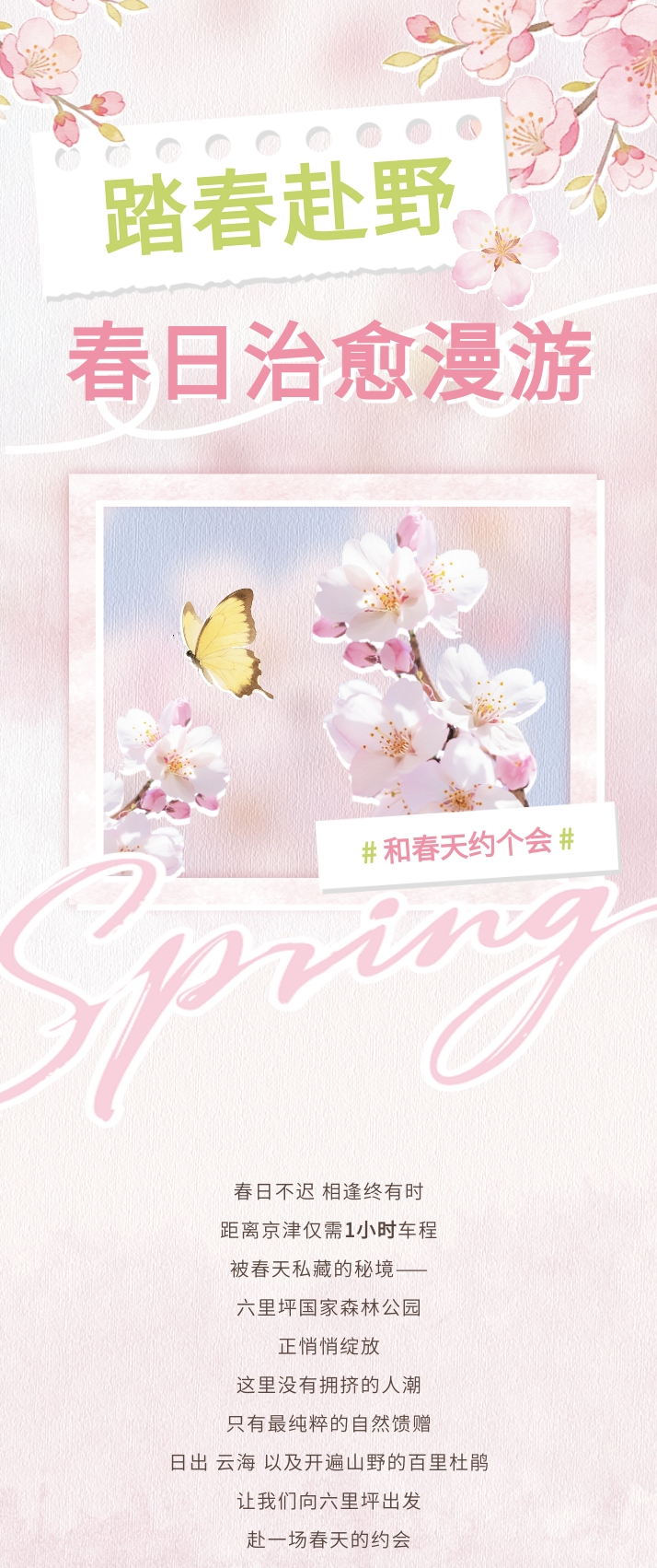 wx20260319-160856@2x.png