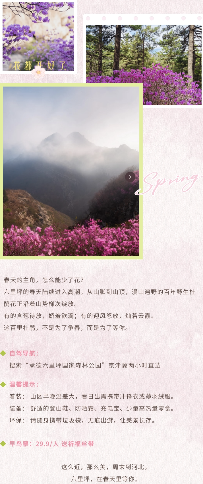 wx20260319-160942@2x.png